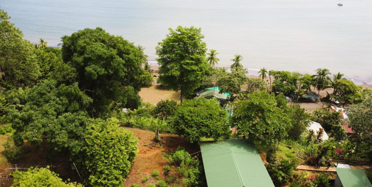 Cabana Ara Macao Lodge Драке Экстерьер фото