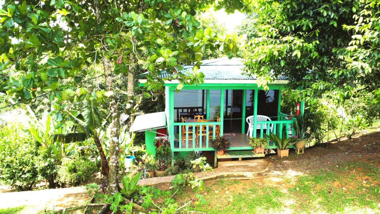 Cabana Ara Macao Lodge Драке Экстерьер фото